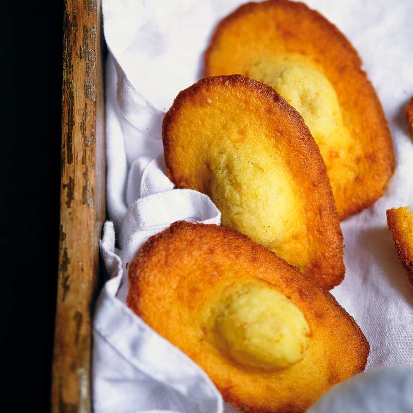 Madeleine-situ-zoom-Nina-Metayer-2021-822